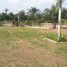 Sepang, Selangor – Agriculture land for sale